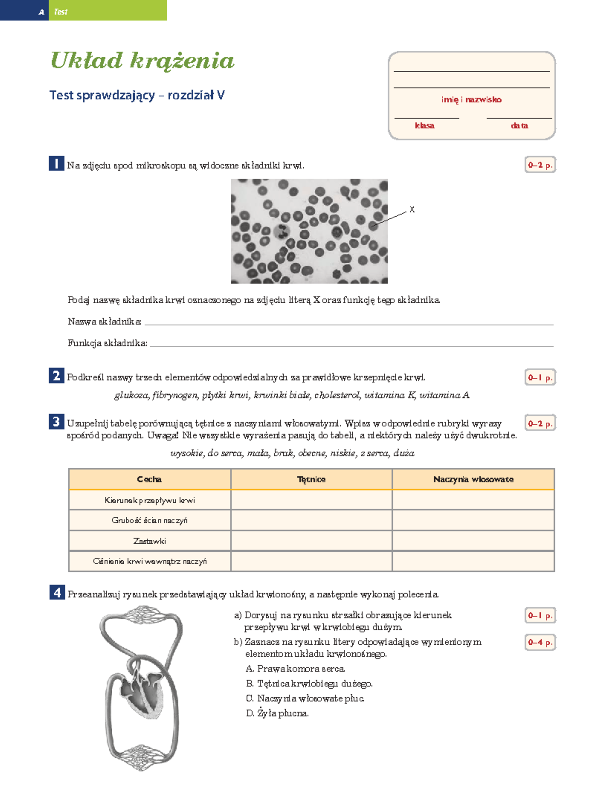 Układ Krążenia Sprawdzian 2 Gimnazjum Chomikuj www.studocu.com
