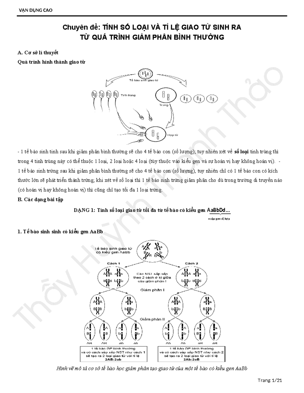 Chuyên đề Tính số loại và tỉ lệ giao tử sinh ra trong giảm phân - Document Preview