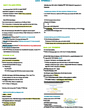 Exam 1 Study Guide Bio 161 - BS 161 - Studocu