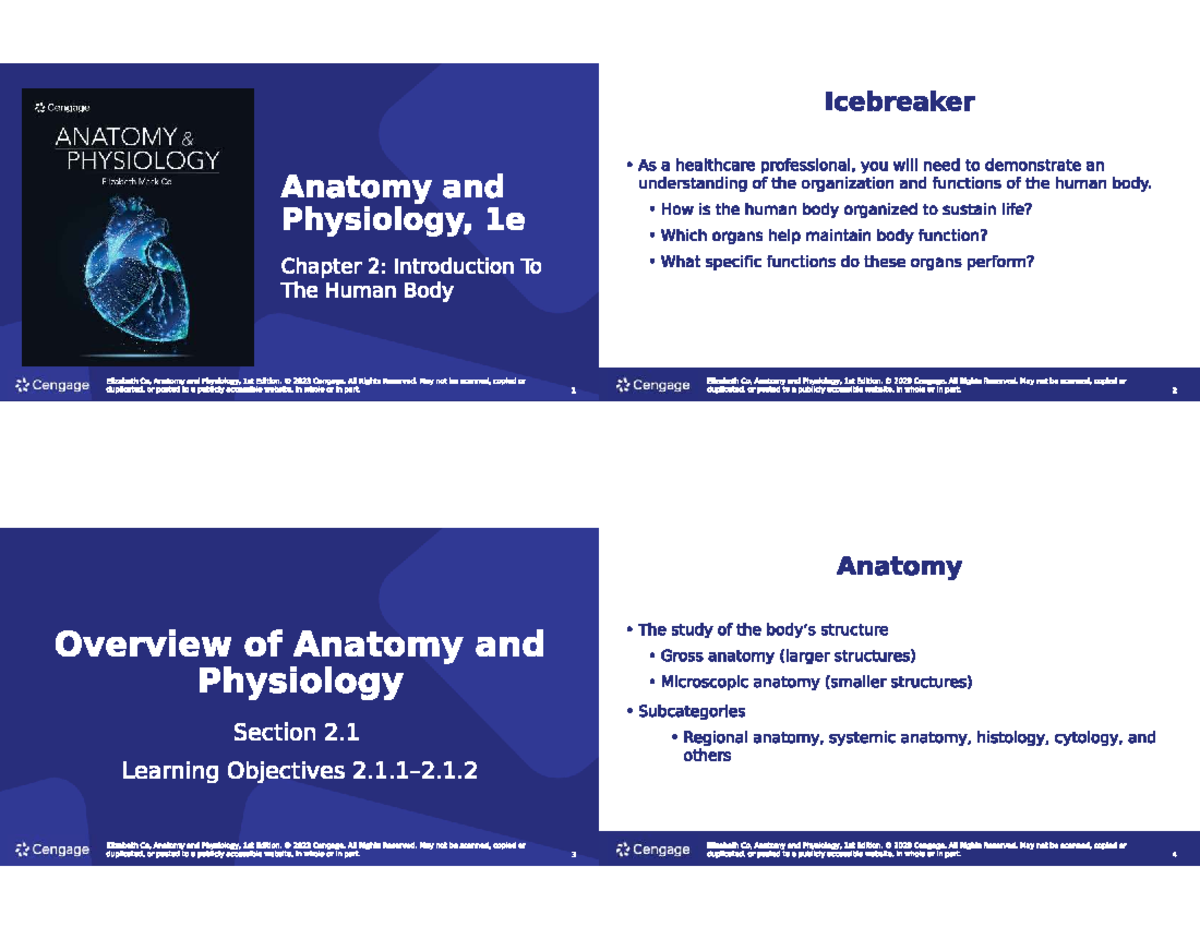 CENGAGE ANATOMY PHYSIOLOGY Chapter 2: Intro to Human Body Overview ...