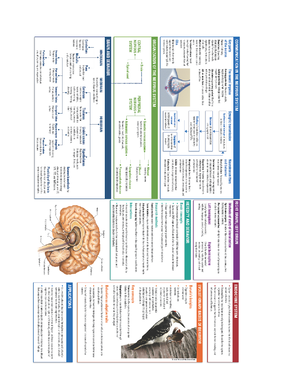 PSY101 Midterm Review Sheet - Introductory Psychology - PSY 101 Dr ...