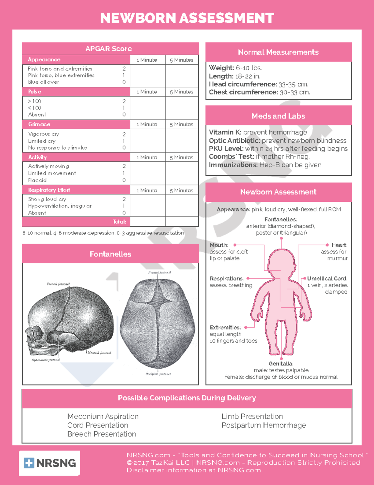 OB-1 - OB Assessment - NRSNG - “Tools and Con dence to Succeed in ...