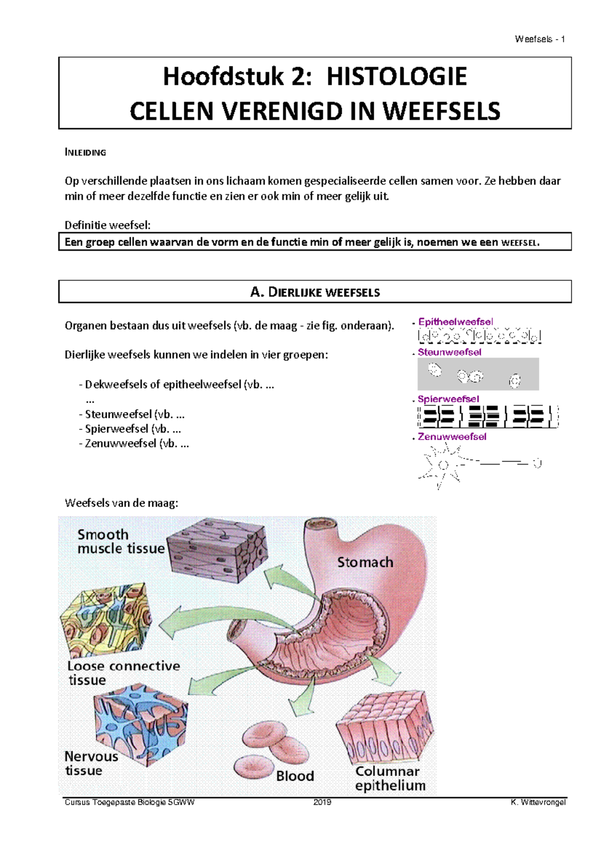 Toegepaste Biologie 5GWW: Hoofdstuk 2 - Epitheelweefsel Overzicht - Studocu