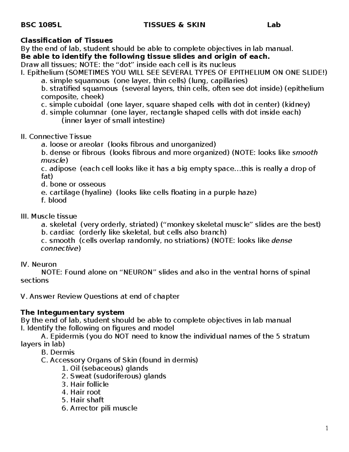 BSC 1085L Lab 3 - Classification of Tissues & Skin Anatomy - Studocu