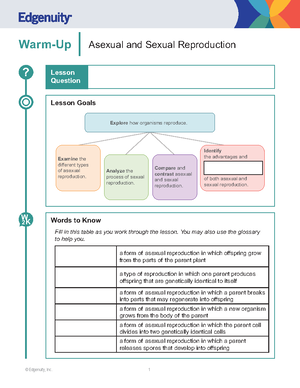Algebra+2+Quarter+1+Review+Assignment (2) 2 - Algebra 2 First Quarter ...