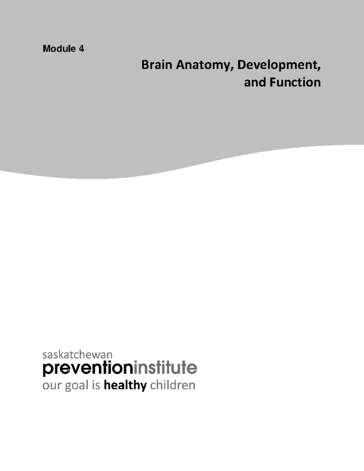 Brain Anatomy, Development, and Function: Key Insights and Processes ...