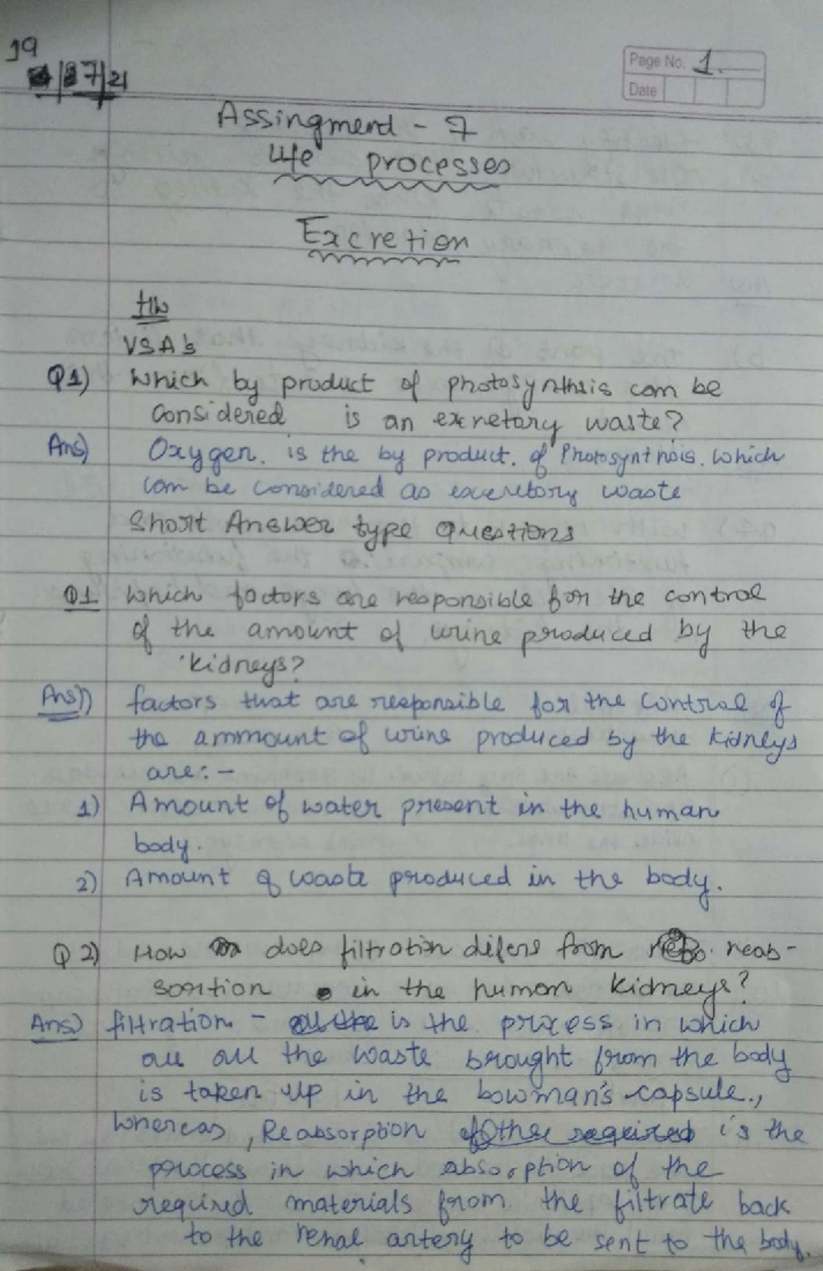 Life Processes Assignment: Understanding Biological Functions - Studocu