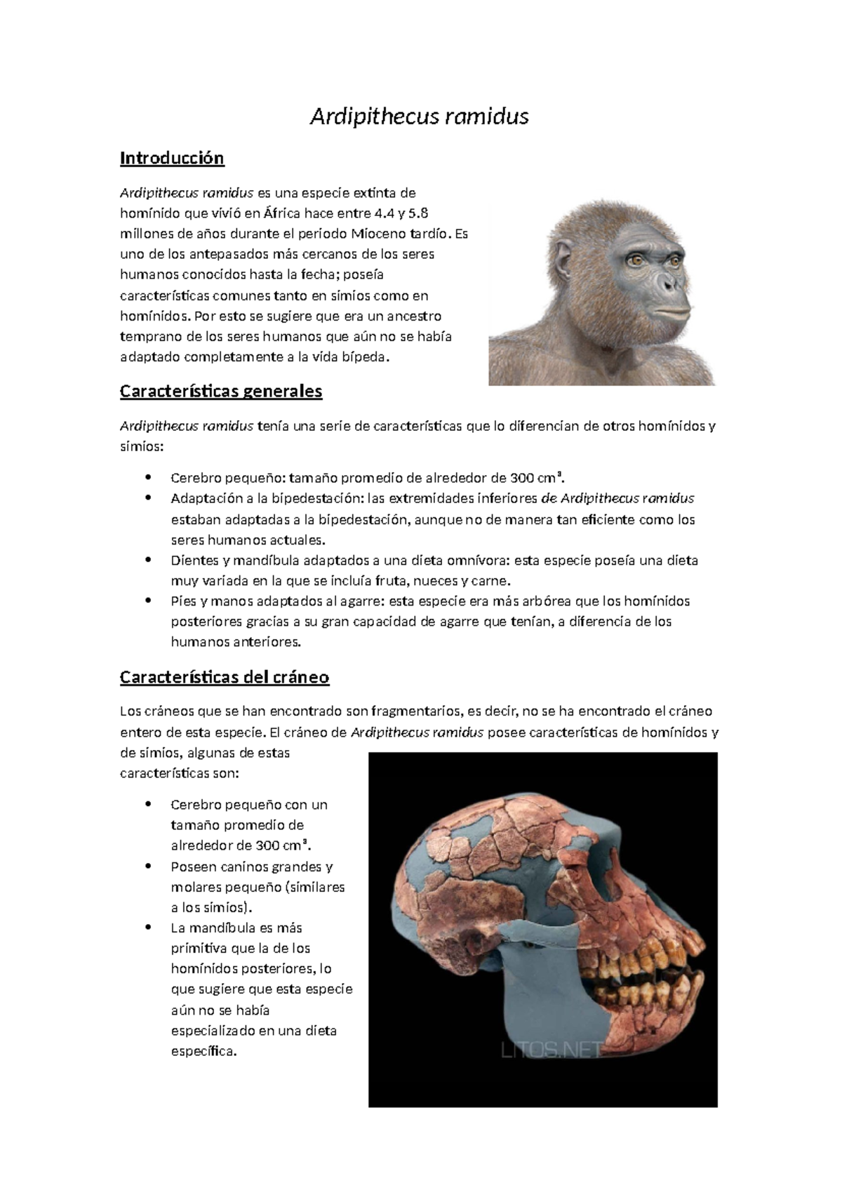 Ardipithecus ramidus - seminario - Ardipithecus ramidus Introducción ...