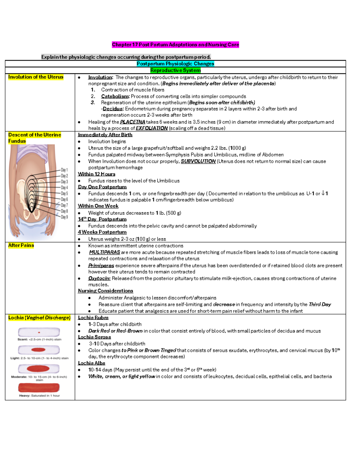 OB Chapter 17 20 21 22 Notes - Chapter 17 Post Partum Adaptations and ...