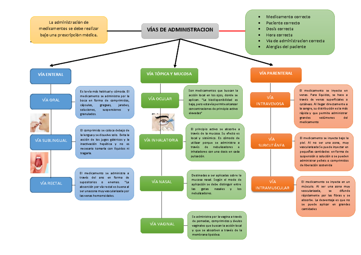 Vías de Administración de Medicamentos - MAPA Conceptual - Document Preview
