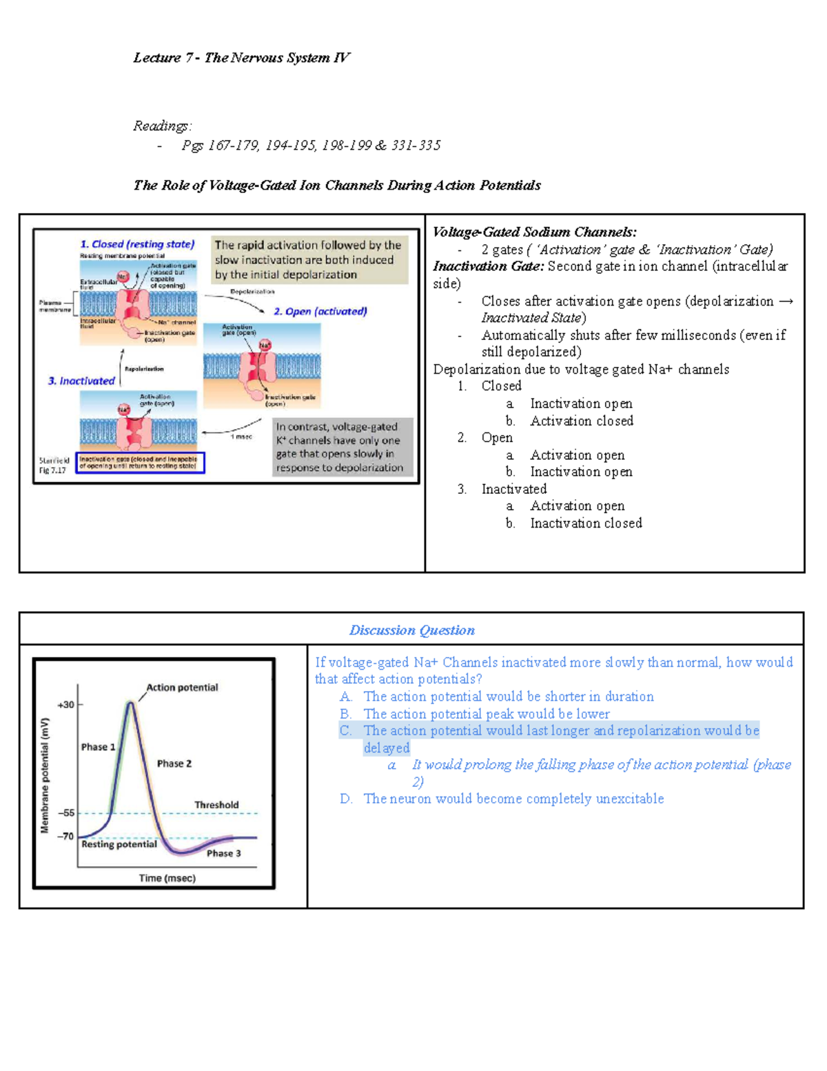 BIO2A03 Lecture Notes: The Nervous System and Ion Channels - Studocu