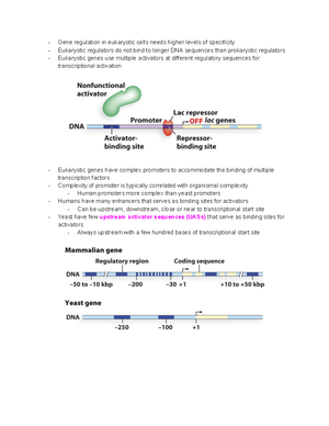 selectins and immunoglobulin super family, IgSF - 1. Selections All Can ...