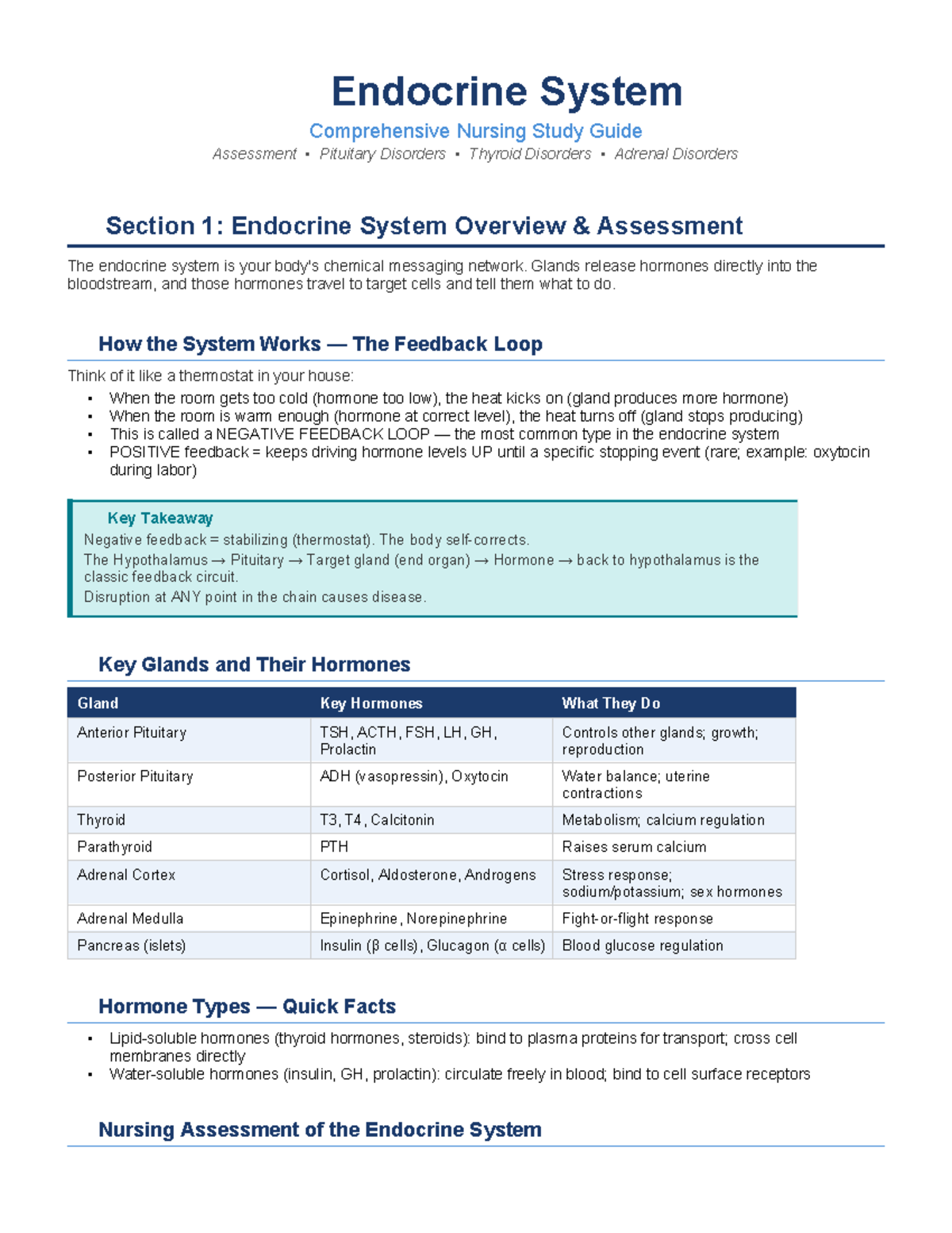 Endocrine System Nursing Study Guide: Pituitary, Thyroid & Adrenal ...