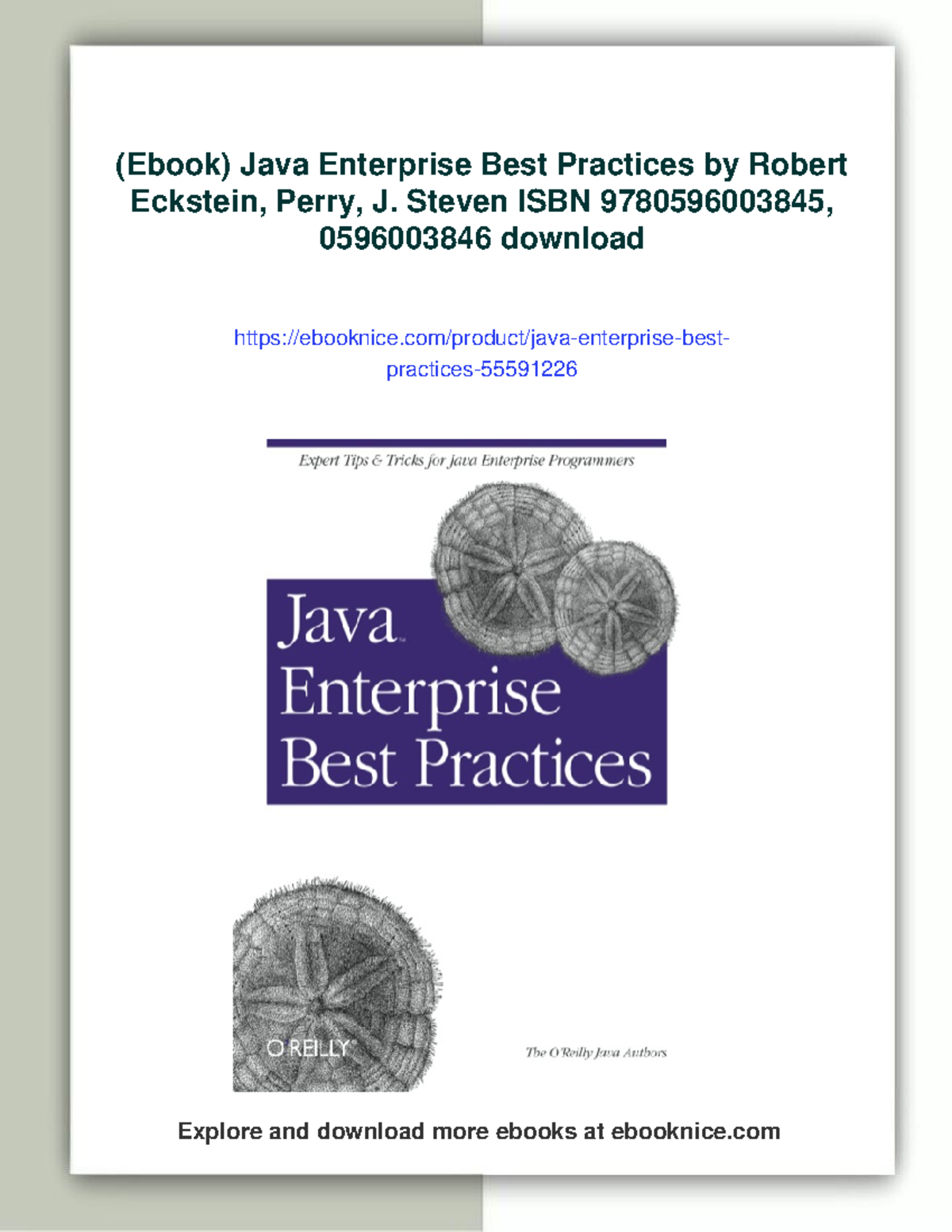 Java Enterprise Best Practices: Insights and Tips for EJB, JSP, and ...