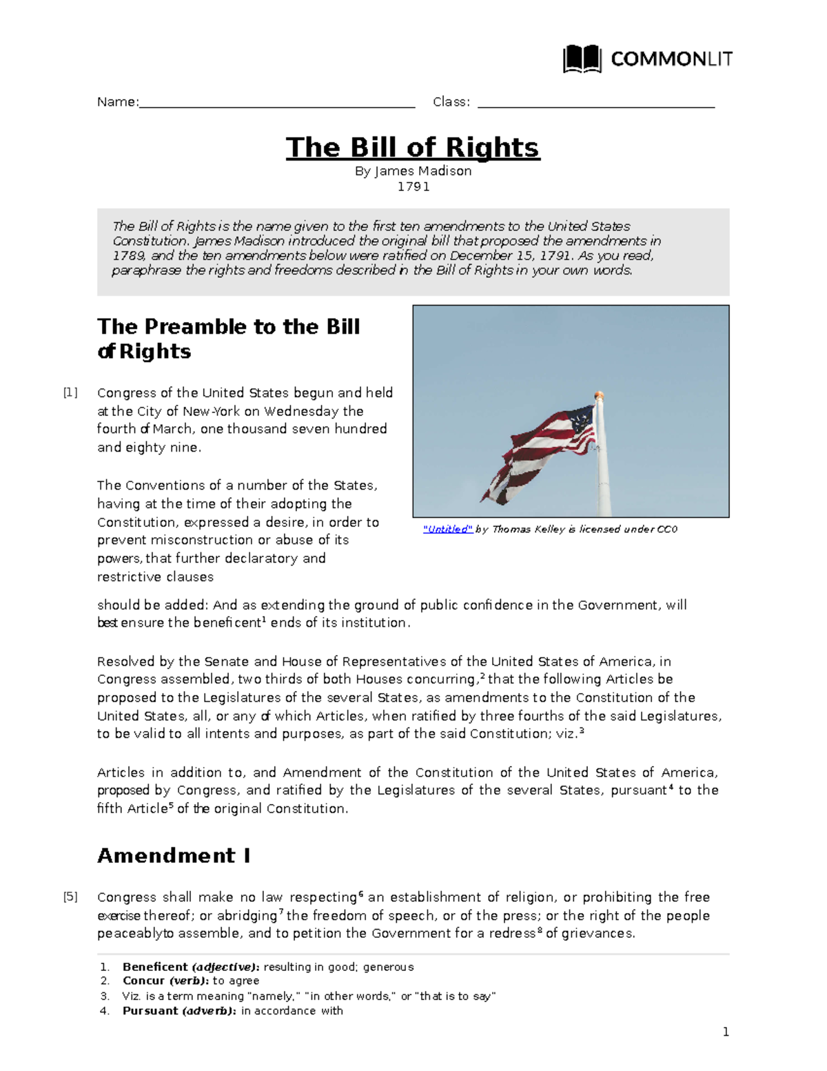 The Bill of Rights: Understanding Amendments I-X - Course Code: HIST101 ...