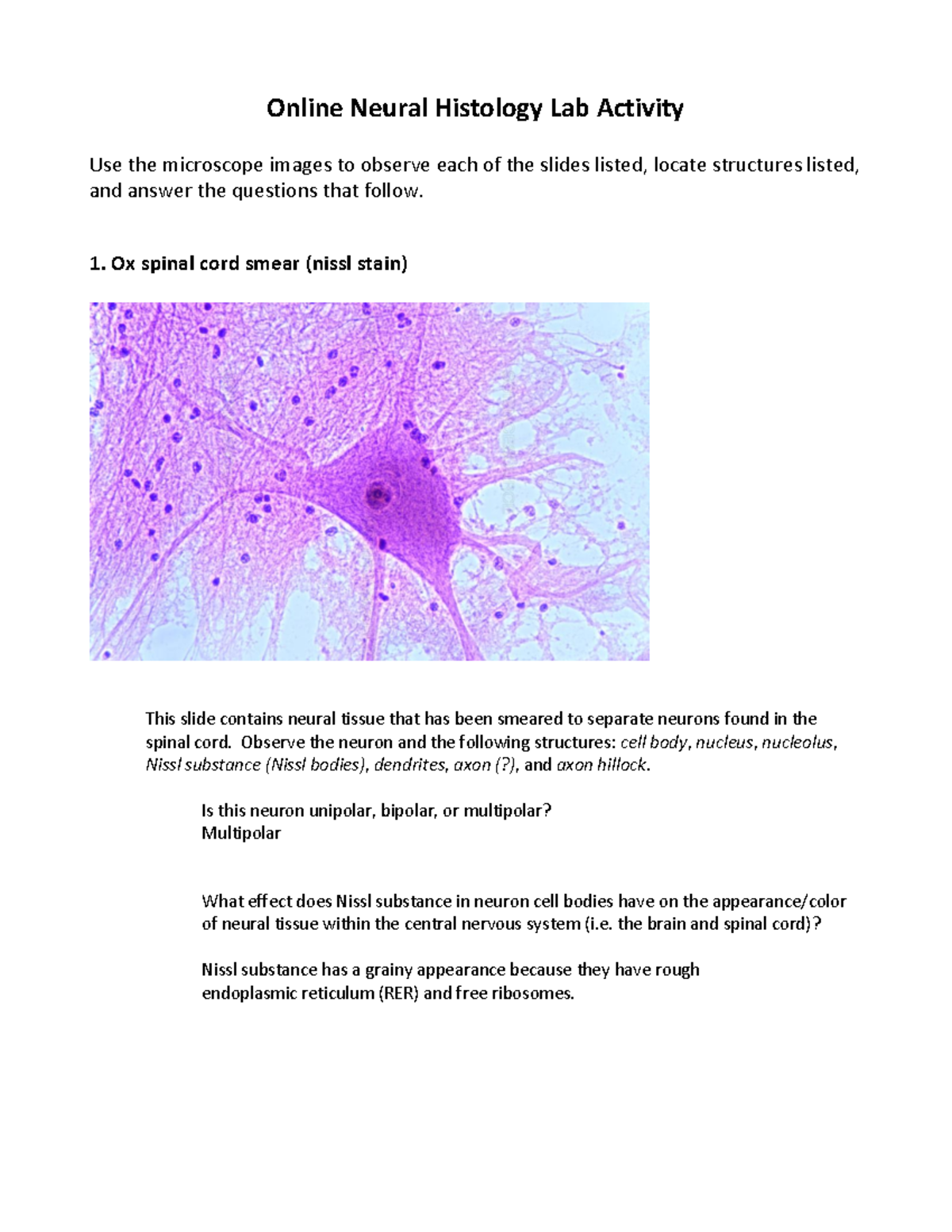 PPT - SPINAL CORD \u0026amp; SPINAL NERVES PowerPoint Presentation, free  download - ID:1487198, image size:1200x1553