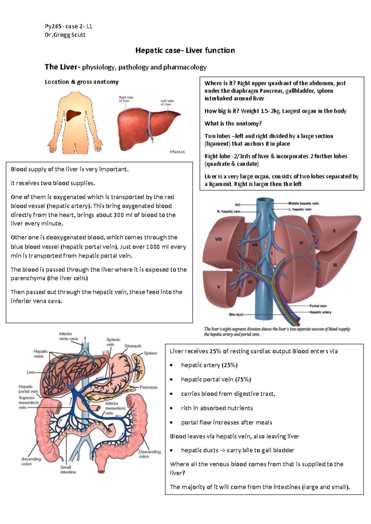 L1 - Hepatic Functions: Anatomy, Blood Flow & Metabolism Case Study ...
