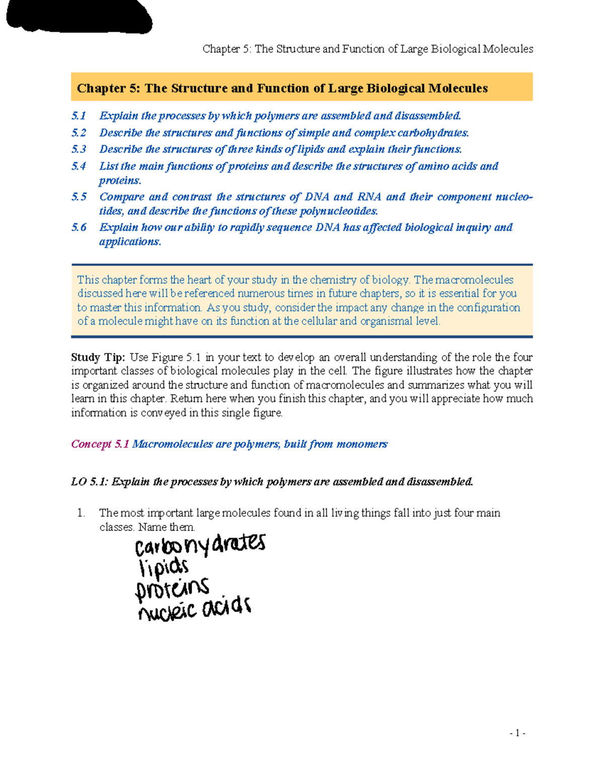 Active Reading Notes - Chapter 5: Structure & Function of ...