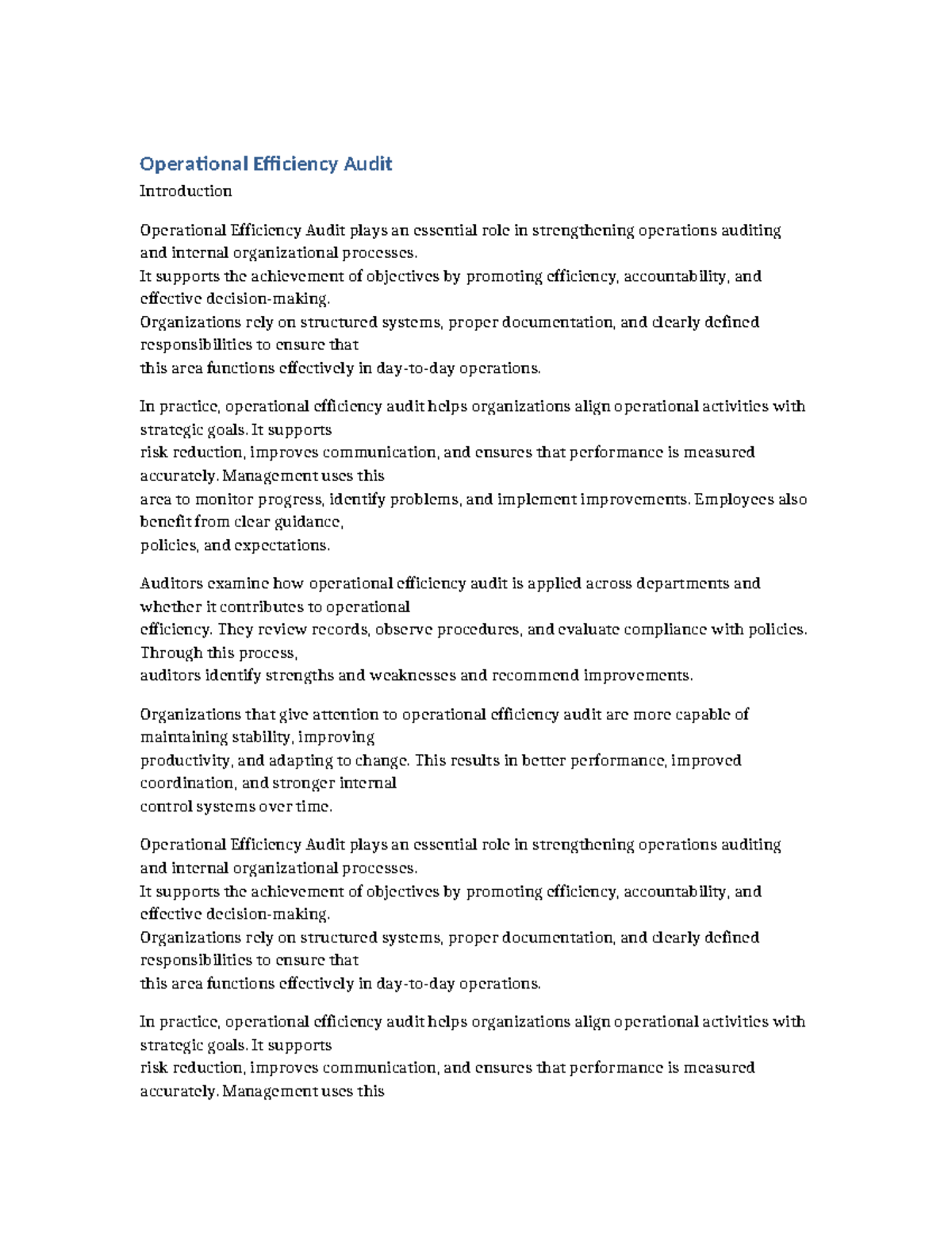 Operational Efficiency Audit: Enhancing Organizational Performance ...