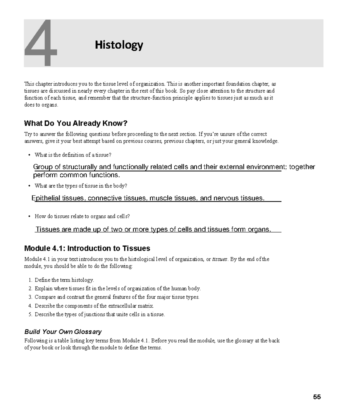 Chapter 4 Homework 1 - Tissues Overview and Learning Activities - Studocu