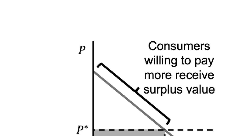 Econ 1B03 Chapter 4: Consumer & Producer Surplus Analysis - Studocu
