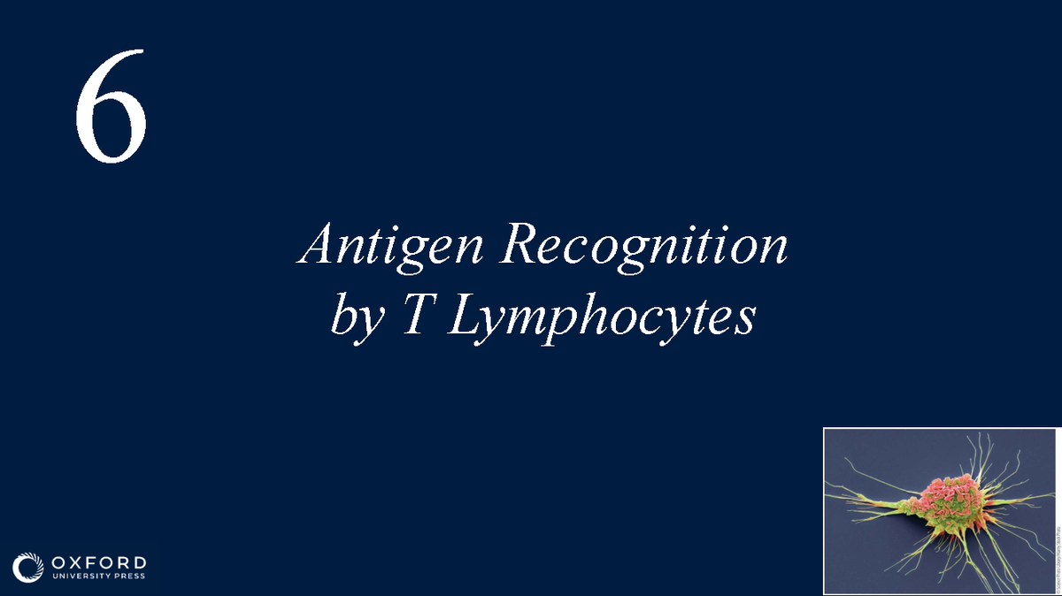 Chapter 6: MHC Diversity and T Cell Antigen Recognition (Course Code: 6 ...