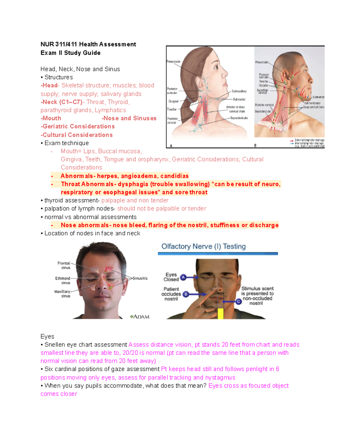 NUR 311 Exam II Comprehensive Study Guide - Key Topics and Focus Areas ...
