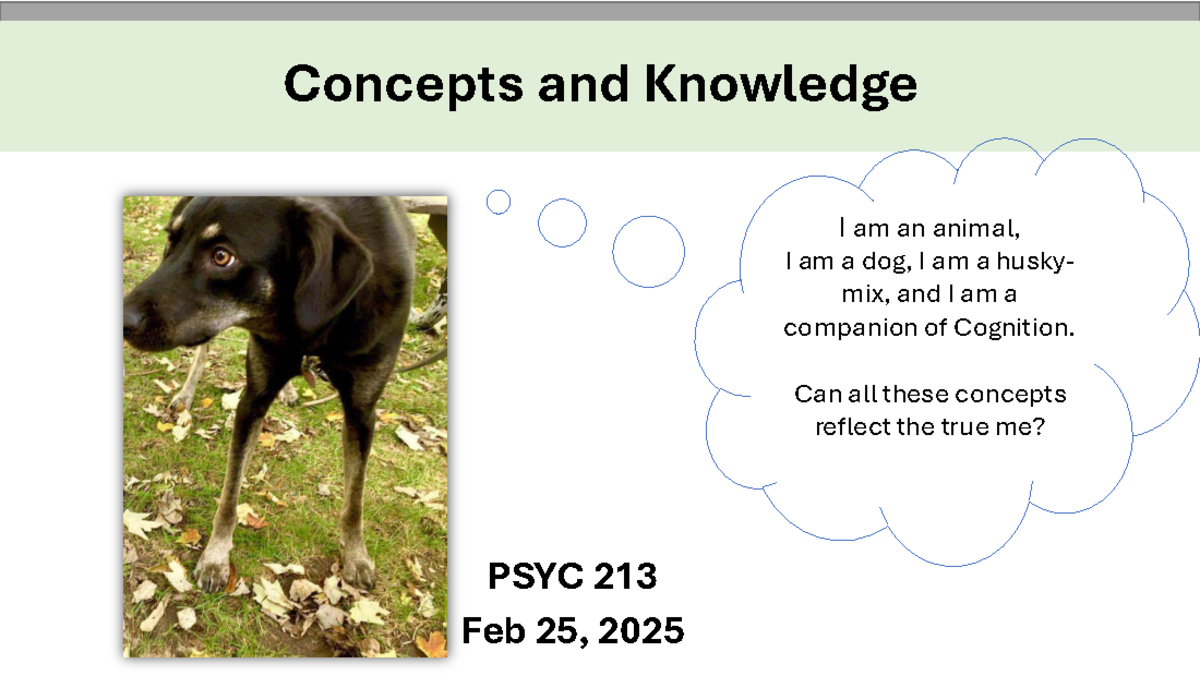 PSYC 213 Final Exam Notes: Concepts of Memory and Cognition - Studocu