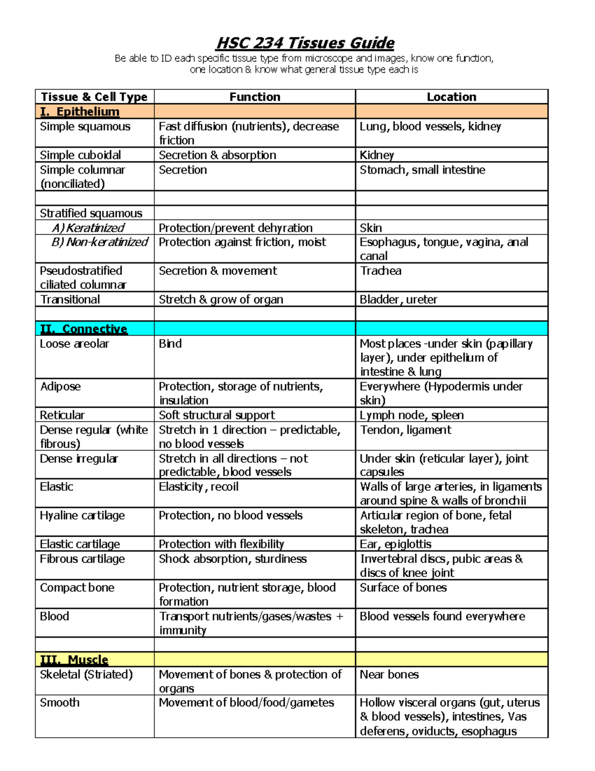 HSC 234 Final Exam: Comprehensive Tissue Types & Functions Guide - Studocu