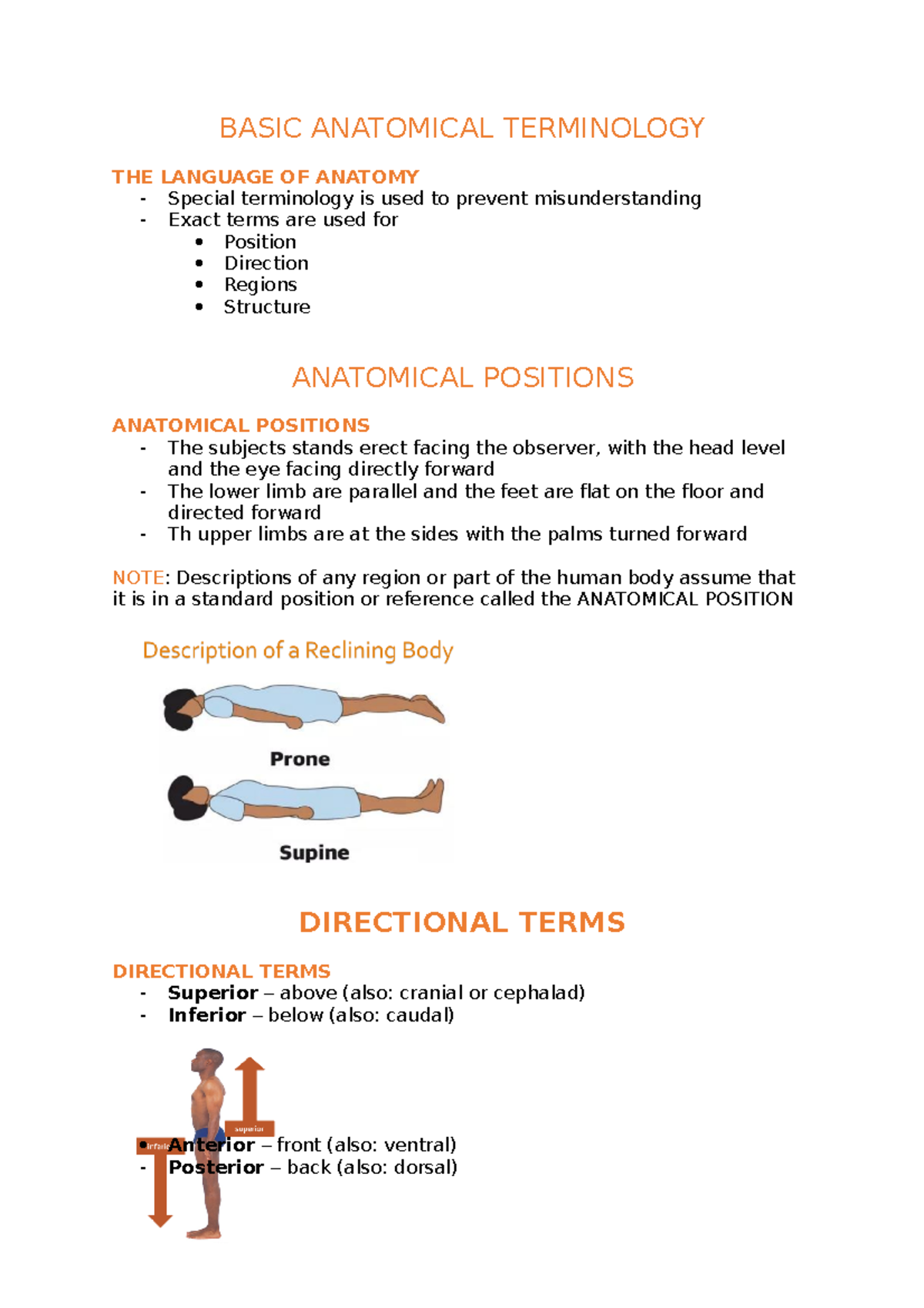 Fundamentals of Anatomical Terminology for Health Sciences - Studocu