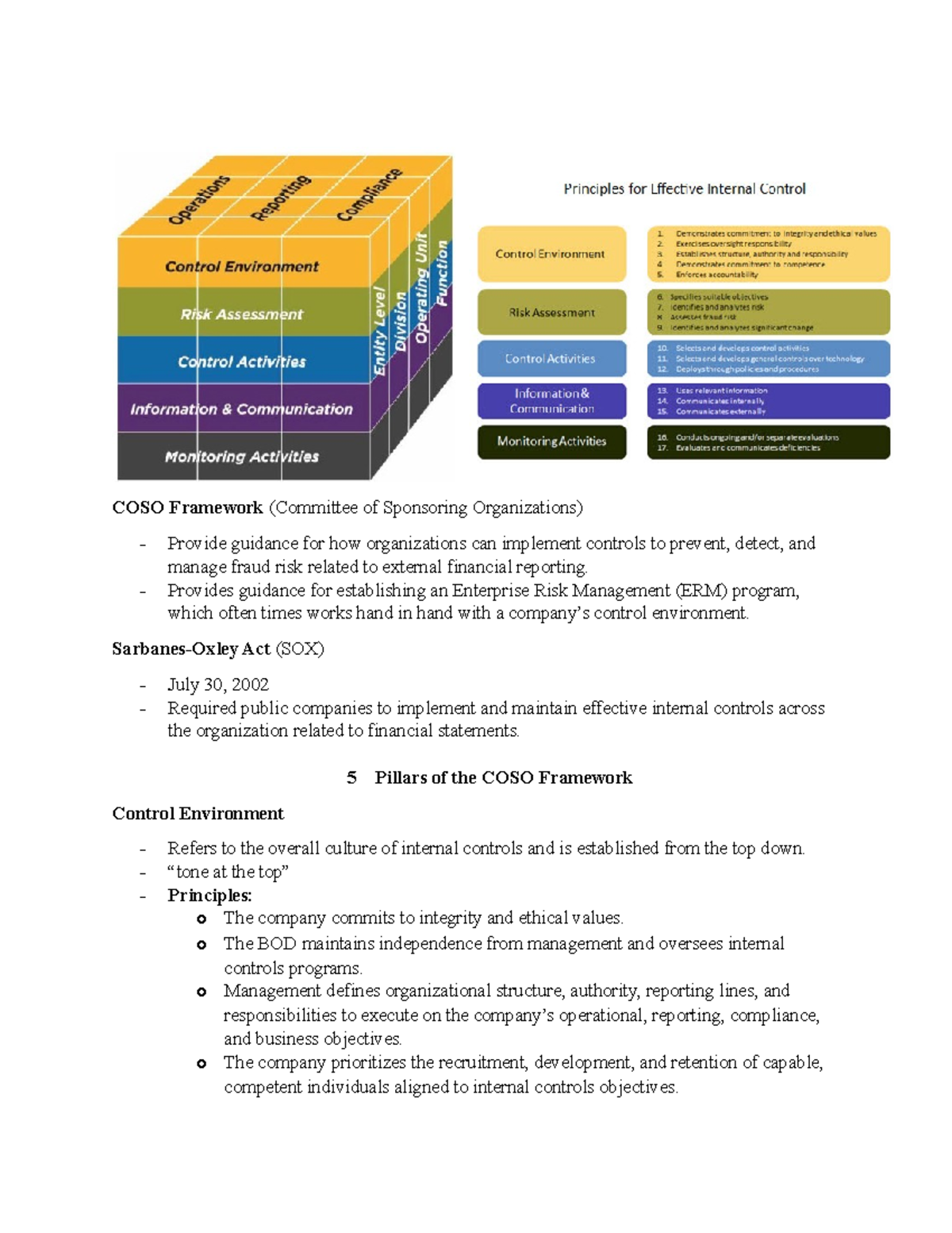 Coso Framework History Report Template - Infoupdate.org