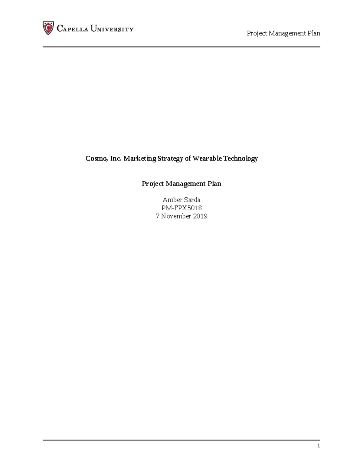 PM FPX 5018 Marketing Strategy Project Management Plan by Amber Sarda ...