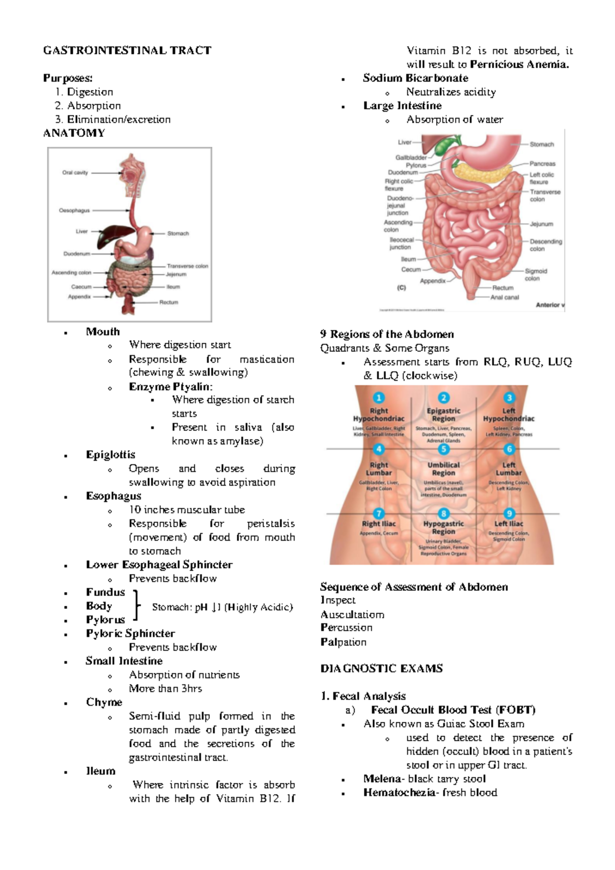 GASTROINTESTINAL TRACT: Anatomy, Functions, and Diagnostic Exams ...