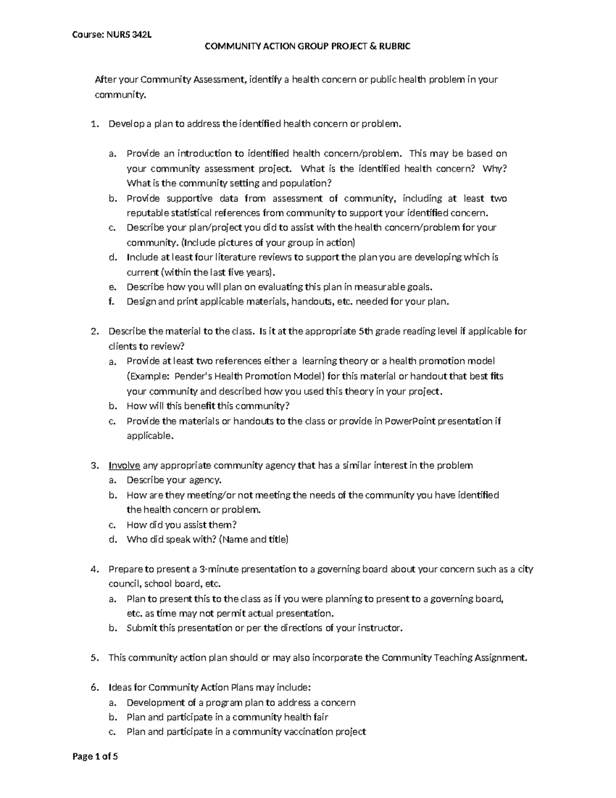 NURS 342L - Community Action Project Guidelines & Rubric Overview - Studocu