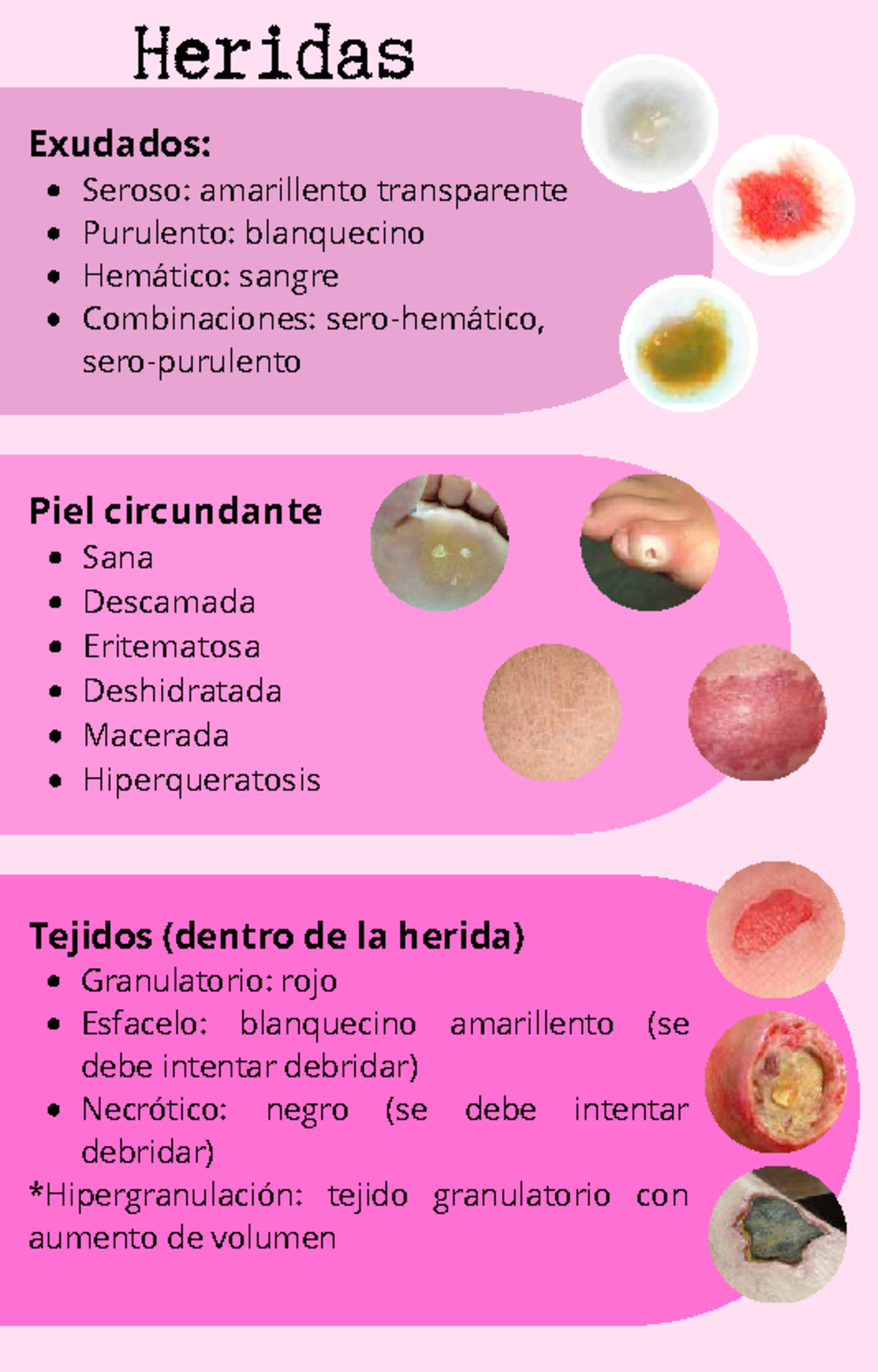 Curación Avanzada: Tipos de Heridas y Apósitos Efectivos - Document Preview