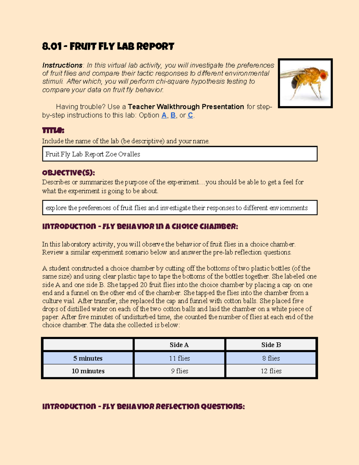 Copy of 8.01 Fruit Fly Lab Report - 8 - Fruit Fly Lab Report ...