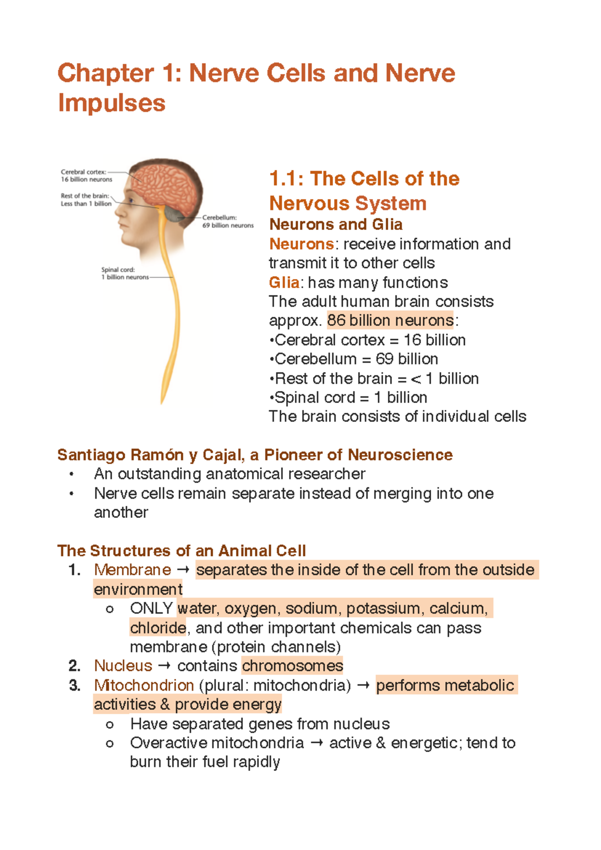 Chapter 1 - Neurons and Nerve Impulses Overview in Neuroscience - Studocu