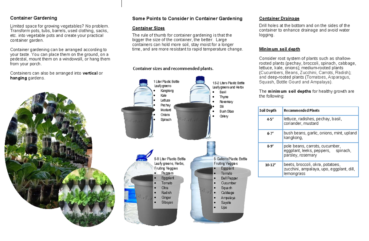 Container Gardening: Essential Tips for Successful Vegetable Growth ...