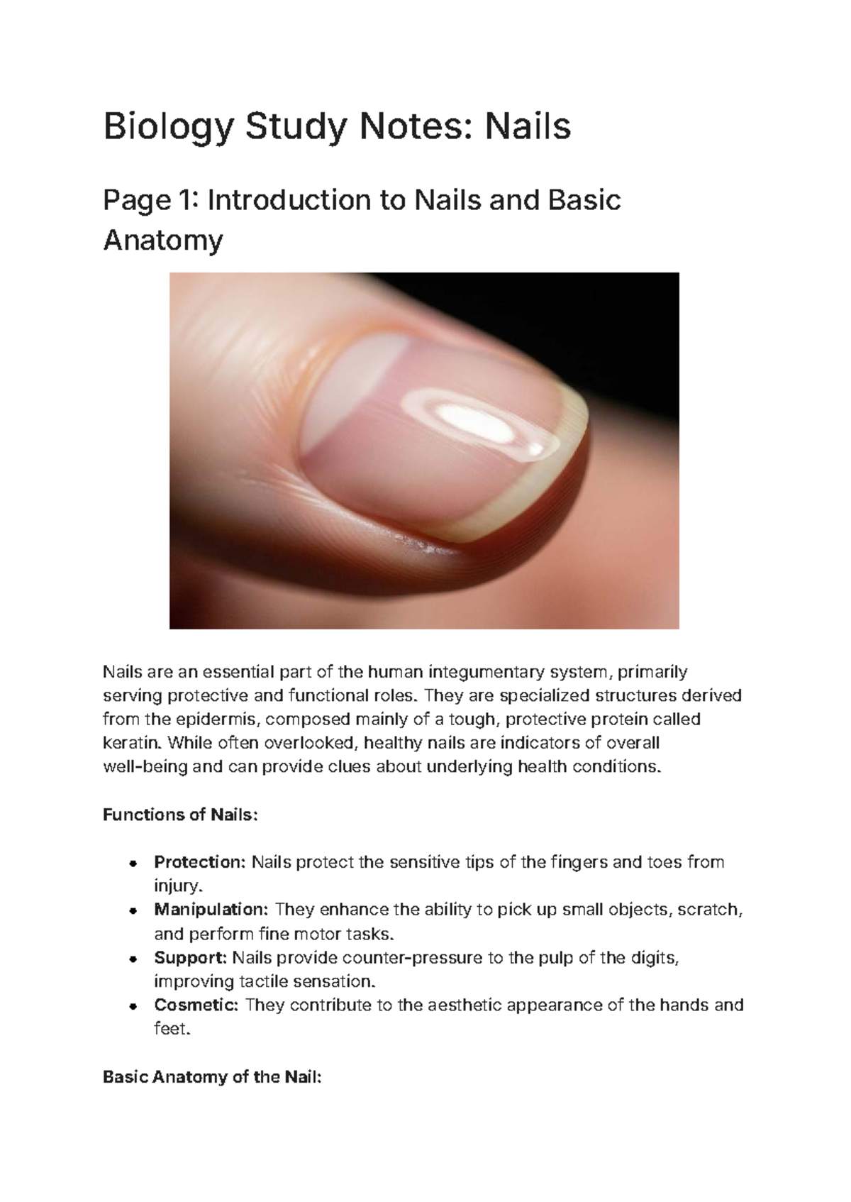 Biology Study Notes: Anatomy and Care of Nails (BIO101) - Studocu