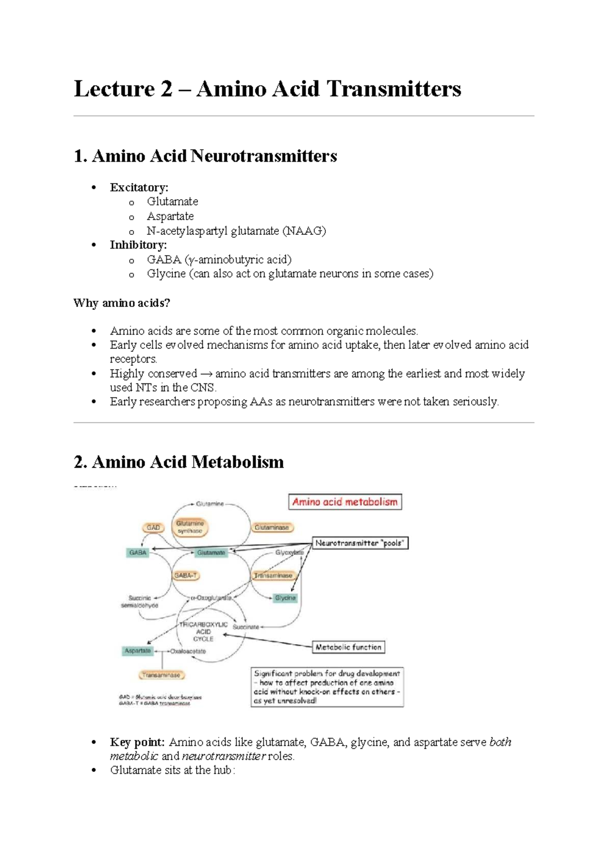 Lecture 2: Amino Acid Neurotransmitters and Their Functions - Studocu