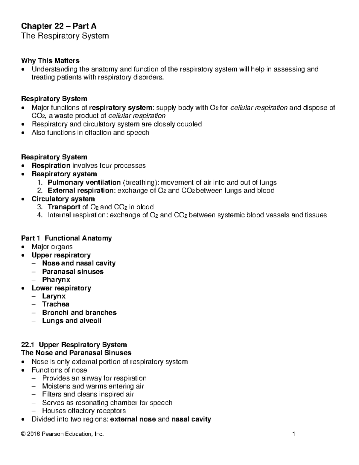 Chapter 22 – The Anatomy and Function of the Respiratory System ...