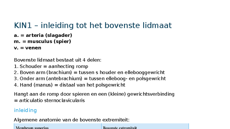 KIN1 - Anatomie van het Bovenste Lidmaat en Bloedvoorziening - Studocu
