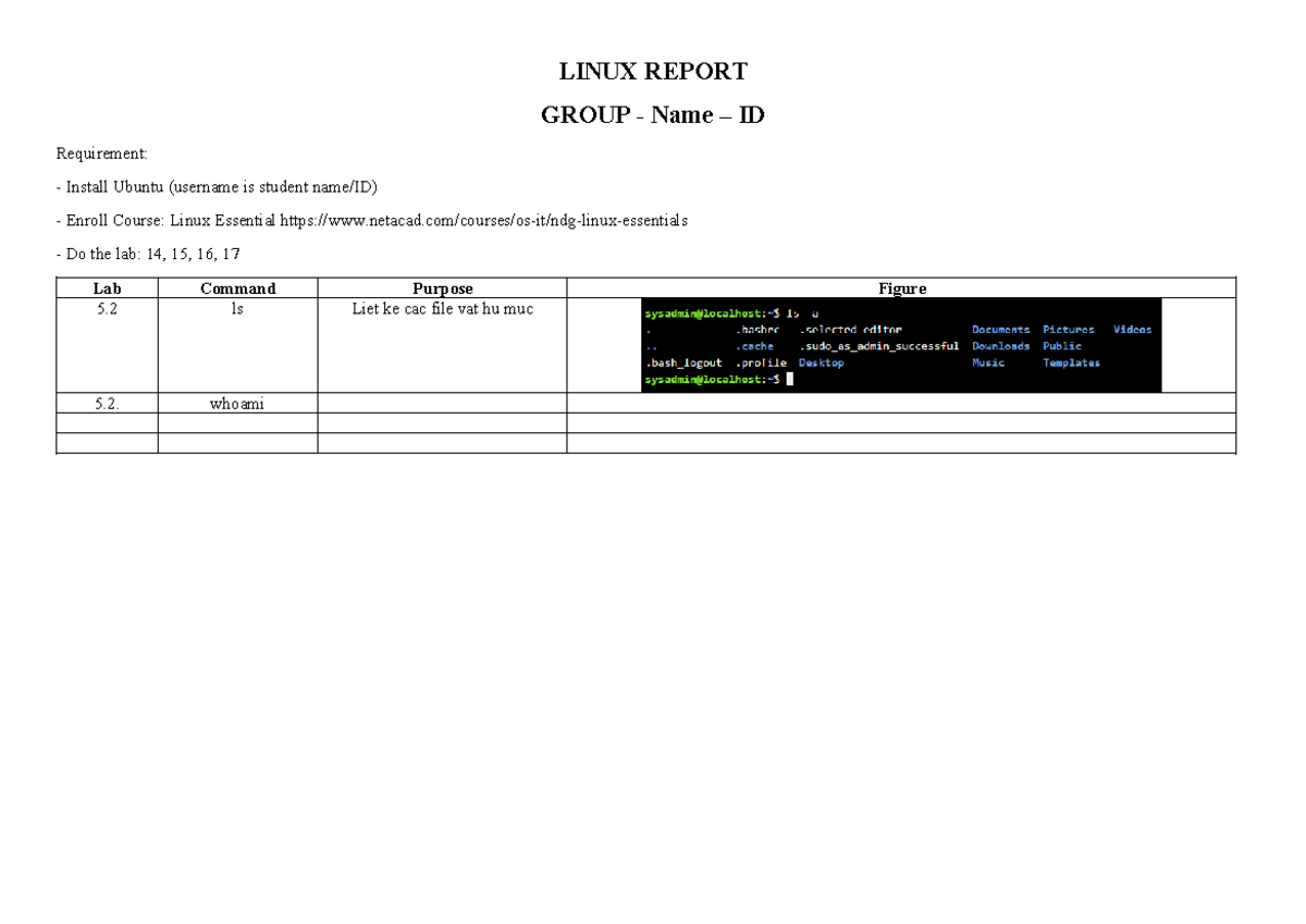 Linux report template - aaa - nhập môn mạng máy tính - LINUX REPORT ...