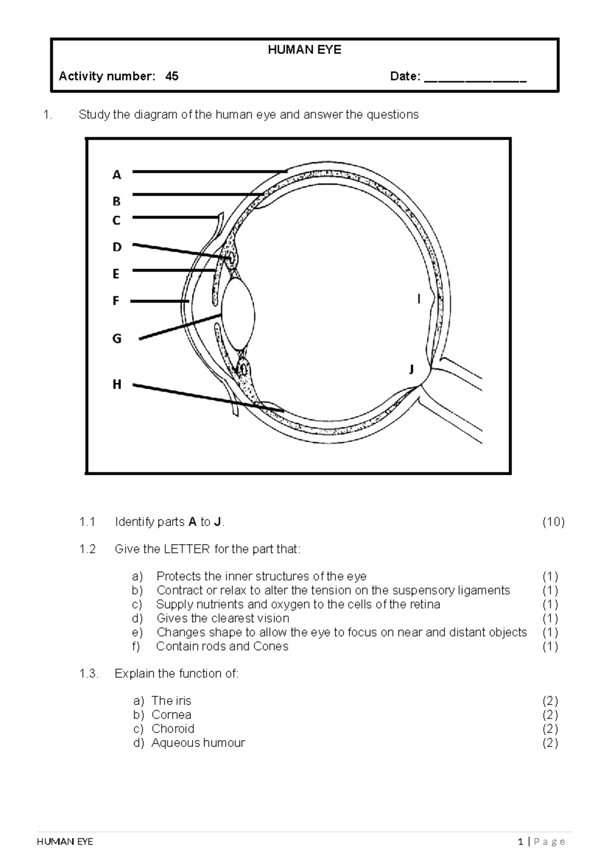 Activity 45 Human EYE 1713171094 - 1. Study the diagram of the human ...