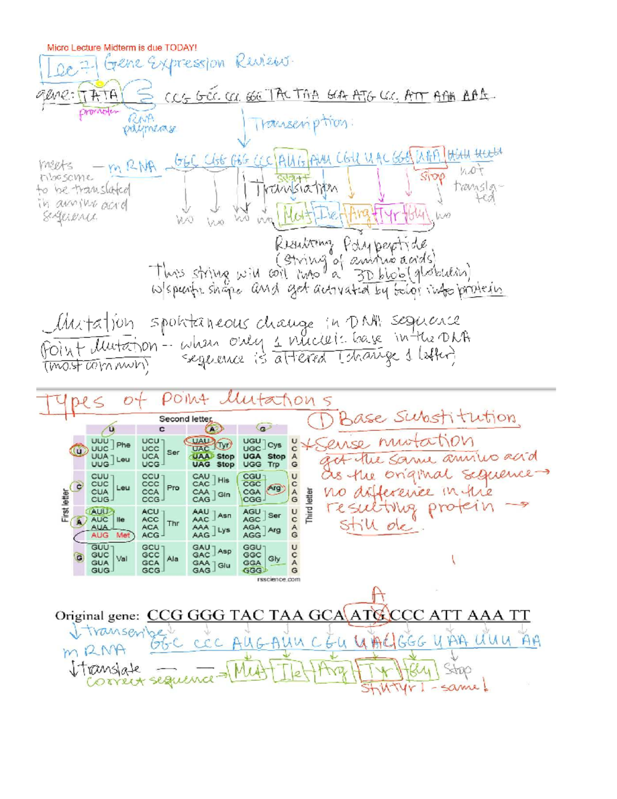 Micro Lecture 7 Class Notes - TRCTAA 600 - June 23, 2025 - Studocu