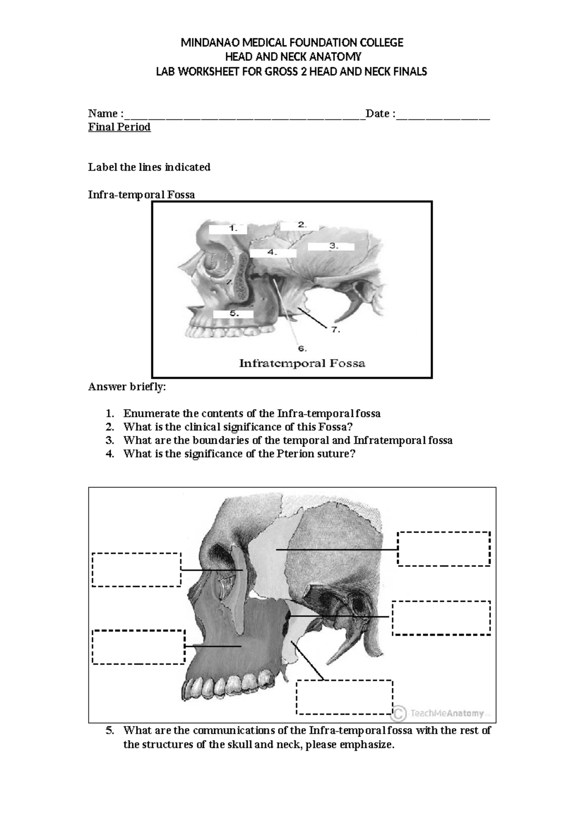 MMFC GROSS 2 HEAD AND NECK ANATOMY LAB WORKSHEET - FINALS - Studocu