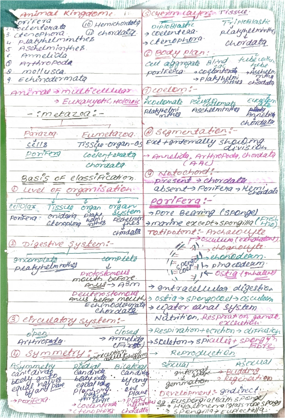 Animal Kingdom Classification: Porifera to Chordata (Biology 101) - Studocu