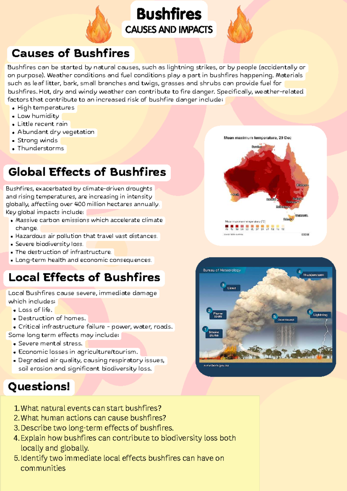 Bushfires: Causes, Impacts, and Global Effects - Infographic - Studocu