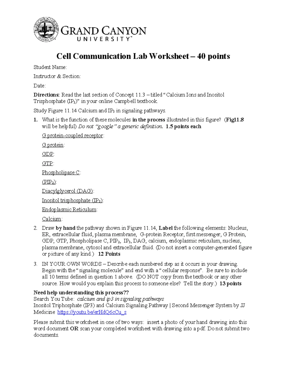 BIO 181 Ch. 12 & 13 Study Guide - Cell Cycle & Meiosis F23 - Studocu