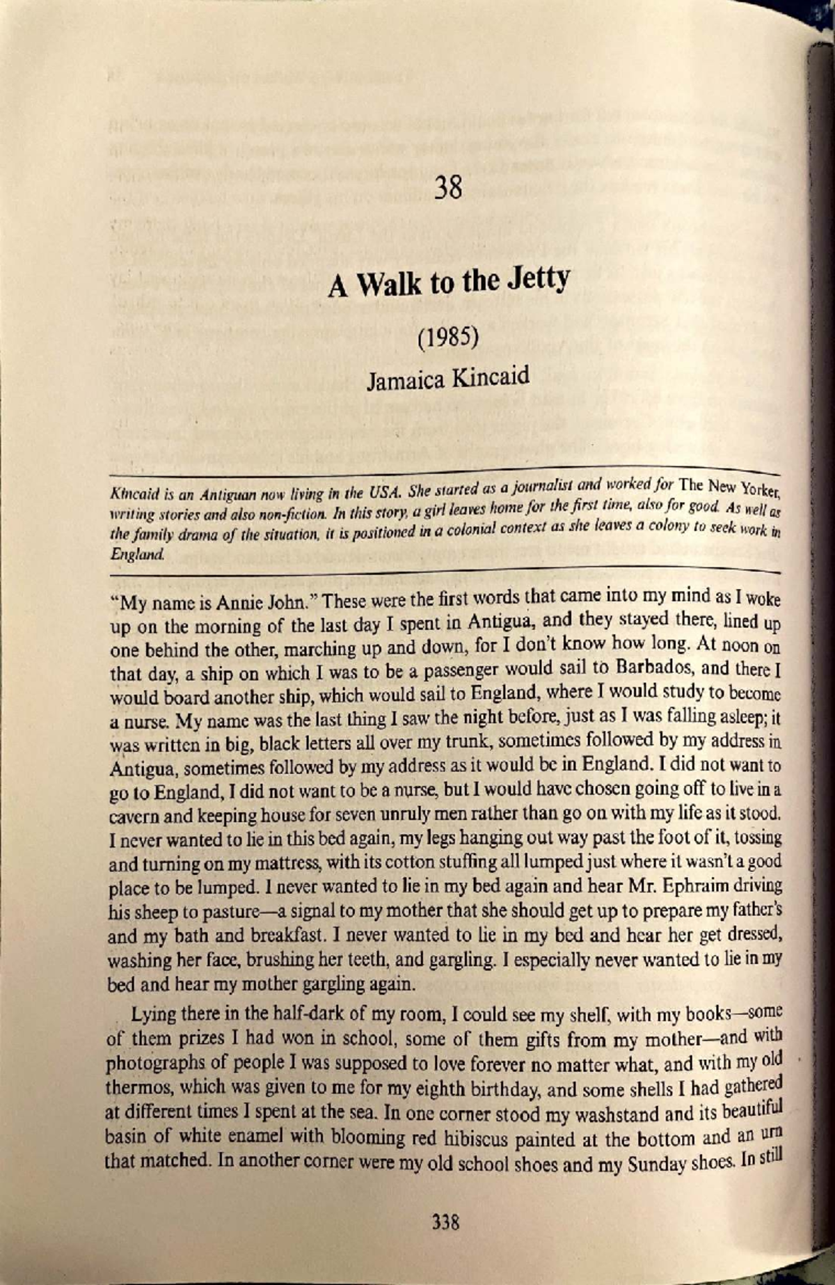 A Walk to the Jetty (1985) - Analysis and Themes in Kincaid's Work ...